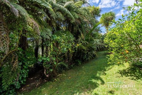 Photo of property in 1/139a Mokoia Road, Birkenhead, Auckland, 0626