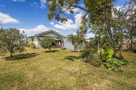 Photo of property in 54 Neal Street, Putaruru, 3411