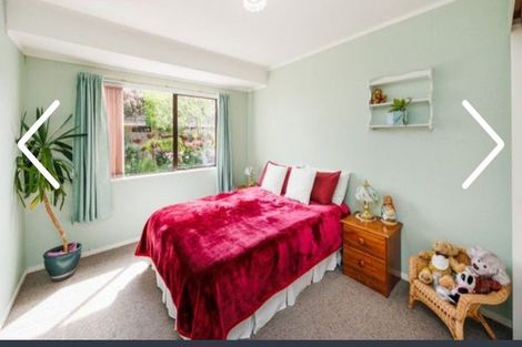 Photo of property in 155 Milson Line, Milson, Palmerston North, 4414