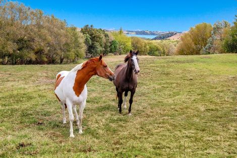 Photo of property in 1180 Oneriri Road, Kaiwaka, 0573