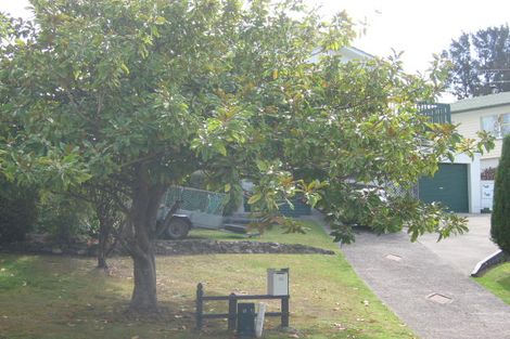 Photo of property in 10 Teviot Place, Totara Vale, Auckland, 0629