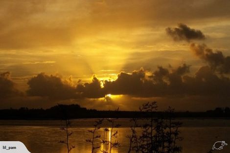 Photo of property in 47 St Annes Crescent, Wattle Downs, Auckland, 2103