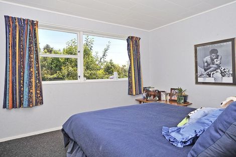 Photo of property in 19 Opawa Place, Terrace End, Palmerston North, 4410