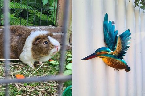 Photo of property in 95 Albert Street, Hamilton East, Hamilton, 3216