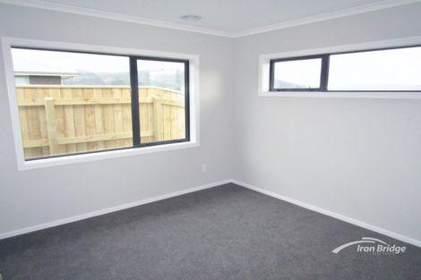 Photo of property in 118 John Burke Drive, Aotea, Porirua, 5024