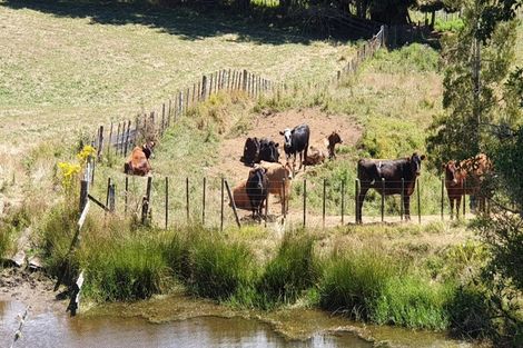 Photo of property in 766 Kaka Road, Okoki, Urenui, 4375