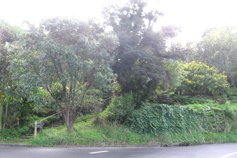 Photo of property in 64 Warner Park Avenue, Laingholm, Auckland, 0604