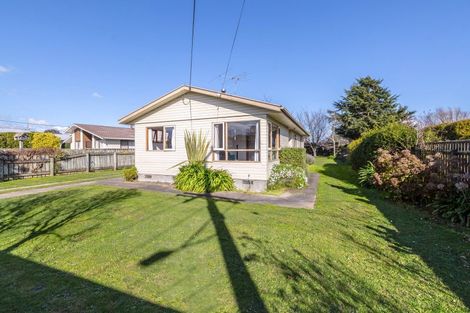 Photo of property in 20 Dublin Street, Martinborough, 5711