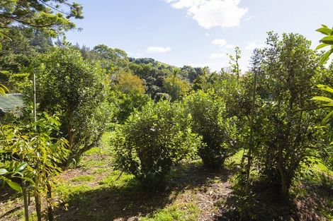 Photo of property in 38 Wallis Road, Kaiti, Gisborne, 4010