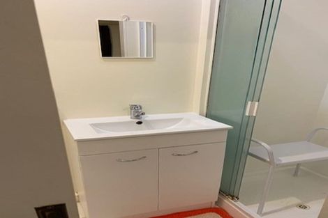 Photo of property in Regency Apartments, 2d/49 Manners Street, Te Aro, Wellington, 6011