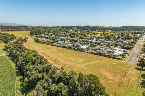 Photo of property in 94 Durham Street, Ashhurst, 4810