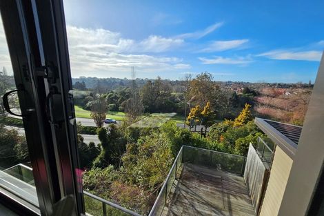 Photo of property in 17 Park Terrace, Hamilton Central, Hamilton, 3204