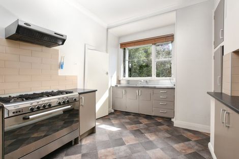 Photo of property in 13 Littlebourne Road, Roslyn, Dunedin, 9010