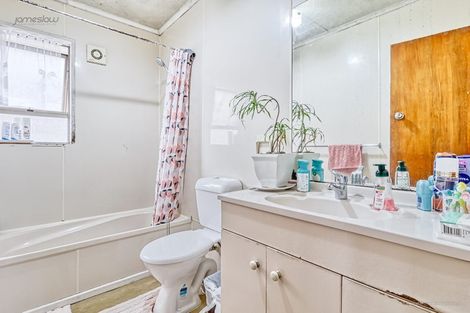 Photo of property in 50 Webster Avenue, Mount Roskill, Auckland, 1041