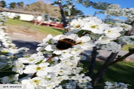 Photo of property in 967 Leader Road West, Waiau, Cheviot, 7384
