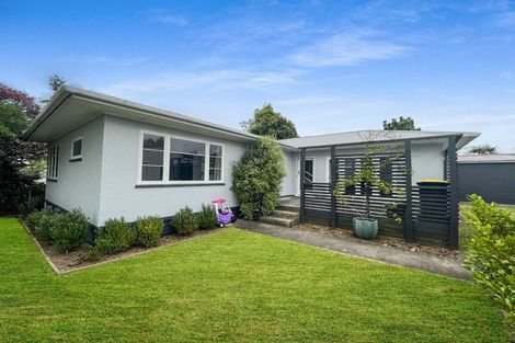 Photo of property in 16 York Street, Feilding, 4702