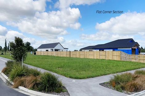 Photo of property in 68 Tuumata Crescent, Ruakura, 3214