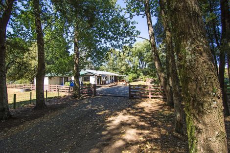 Photo of property in 317 West Bush Road, Upper Plain, Masterton, 5888