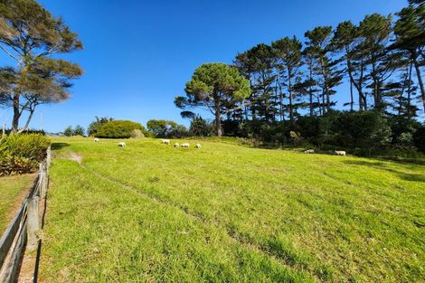 Photo of property in Pouto Road, Te Kopuru, 0391