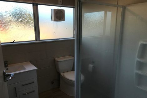 Photo of property in 3c Dyer Street, Whitiora, Hamilton, 3200