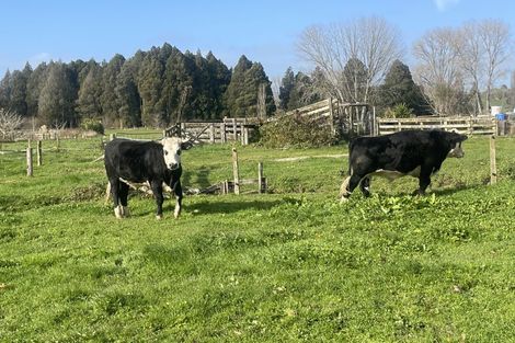 Photo of property in 943 State Highway 3, Hangatiki, Te Kuiti, 3985