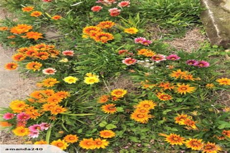 Photo of property in 10 Tamar Street, South Hill, Oamaru, 9400