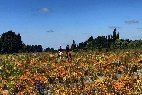 Photo of property in 2614 South Eyre Road, Eyrewell, Rangiora, 7476