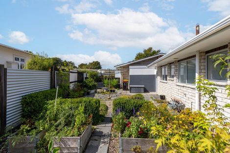 Photo of property in 150b Studholme Street, Morrinsville, 3300