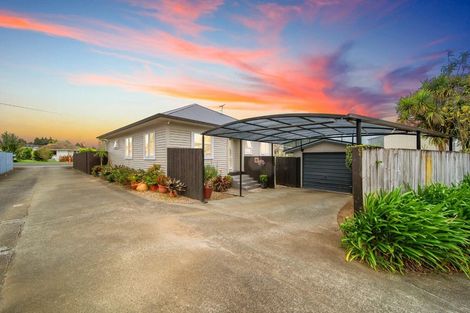 Photo of property in 101 Helvetia Road, Pukekohe, 2120