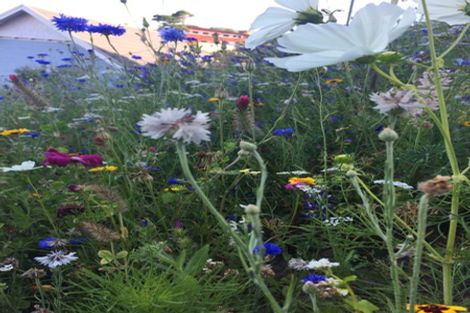 Photo of property in 26 Beach Street, Island Bay, Wellington, 6023