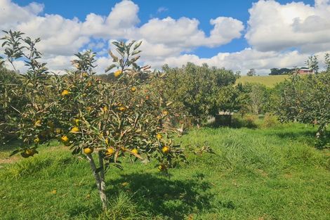 Photo of property in 433 Mangapai Road, Mangapai, Whangarei, 0178