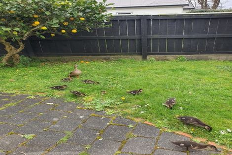 Photo of property in 177 Waiwhetu Road, Waterloo, Lower Hutt, 5011