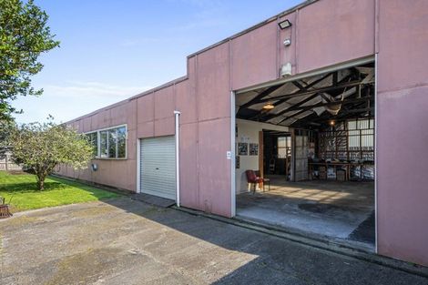 Photo of property in 9 Princes Street, Levin, 5510