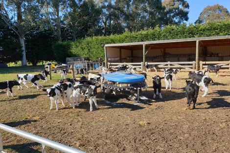 Photo of property in 214 Ferry Road, Richmond, Oamaru, 9494