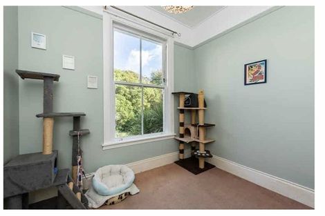 Photo of property in 26 Disley Street, Highbury, Wellington, 6012