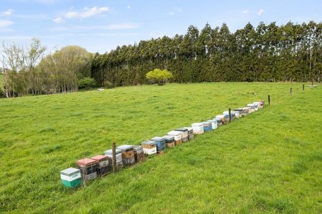 Photo of property in 1254 Pipiwai Road, Ruatangata West, Whangarei, 0176