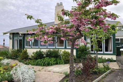 Photo of property in 53 Ouse Street, Oamaru, 9400