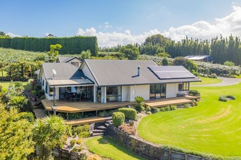 Photo of property in 43z Blue Gum Lane, Kerikeri, 0293