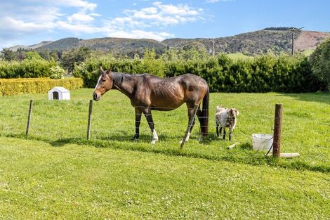 Photo of property in 338 Mill Road, Waimate, 7978