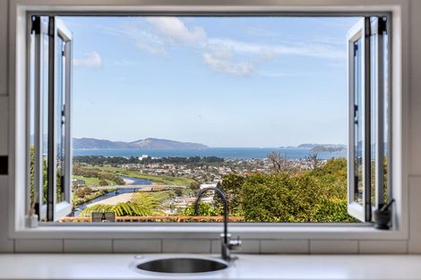 Photo of property in 19 City View Grove, Harbour View, Lower Hutt, 5010