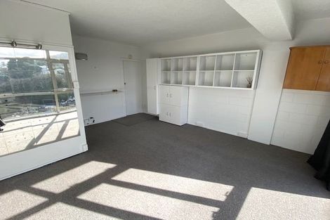 Photo of property in Fairmont Flats, 3c/20 Maarama Crescent, Aro Valley, Wellington, 6021