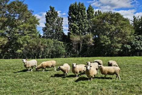 Photo of property in 298 Maungarangi Road, Paengaroa, Te Puke, 3189