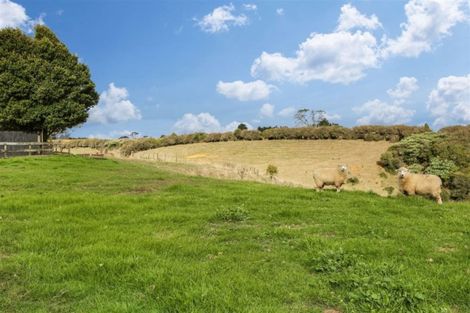 Photo of property in 163 Klondyke Road, Onewhero, Tuakau, 2697