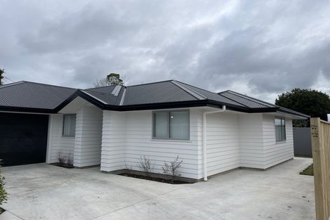 Photo of property in 50 Vogel Street, Roslyn, Palmerston North, 4414