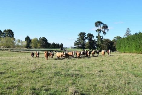 Photo of property in 2084 North Eyre Road, West Eyreton, Rangiora, 7475