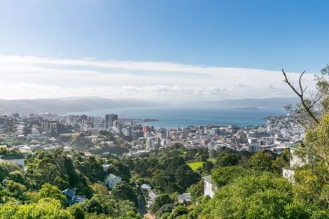 Photo of property in 46 Apuka Street, Brooklyn, Wellington, 6021