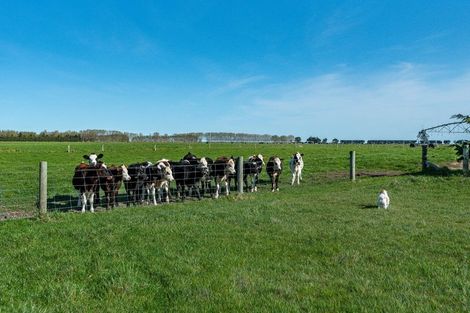 Photo of property in 748 Hudsons Road, Motukarara, Christchurch, 7674