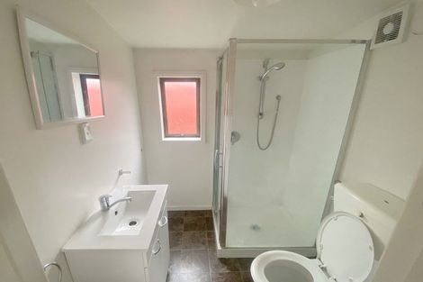 Photo of property in 102 Barbour Street, Waltham, Christchurch, 8011