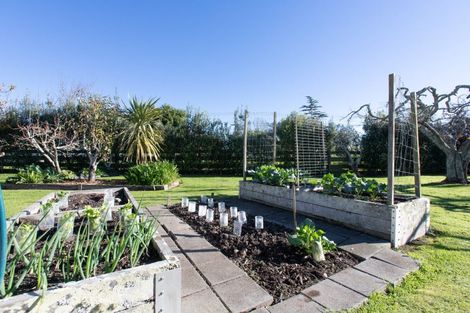 Photo of property in 695 Hauraki Road, Turua, Thames, 3574