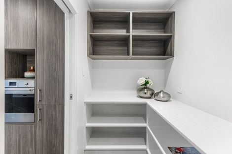 Photo of property in 78 Waterlily Street, Hobsonville, 0616